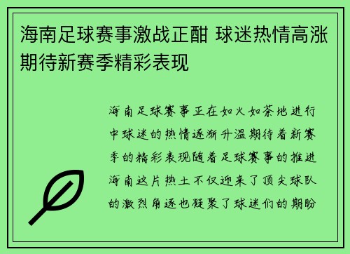 海南足球赛事激战正酣 球迷热情高涨期待新赛季精彩表现